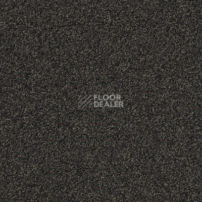 Ковровая плитка Interface Biosfera Boucle 7873 Nero Angola фото 1 | FLOORDEALER